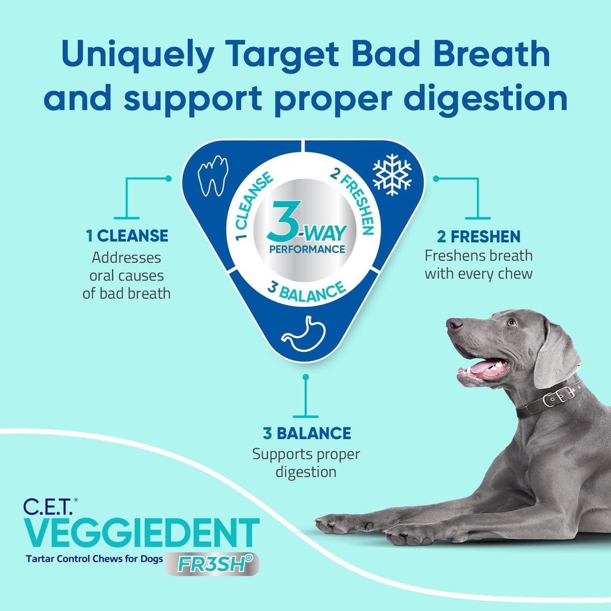 Virbac C.E.T. VEGGIEDENT FR3SH Tartar Control Chews for Dogs, Medium, Beef, 1.6 pounds