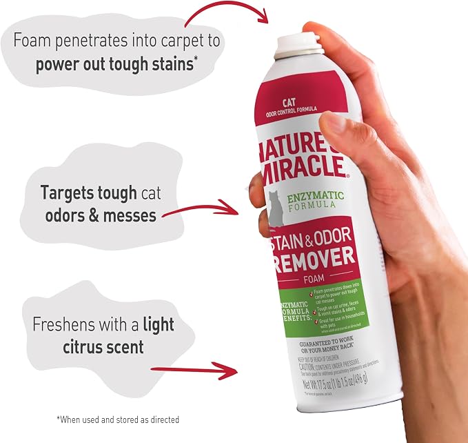 Nature's Miracle Cat Stain & Odor Remover Foam, Tough On Cat Urine, Feces, Vomit, Drool and Other Organic Stains and Odors, 17.5 oz