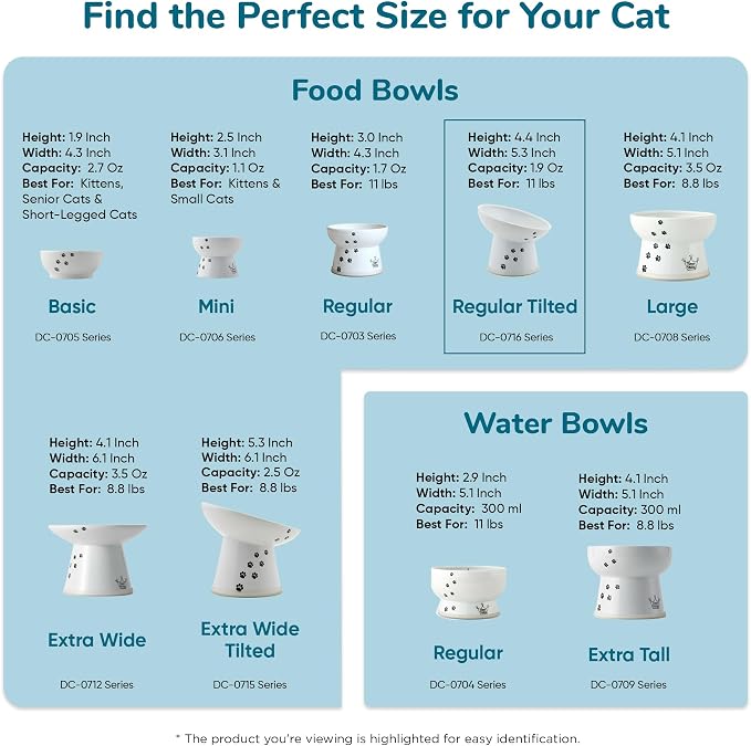 Necoichi Raised Cat Food Bowl – Ceramic Elevated 15° Tilted Cat Bowl for Whisker & Neck Fatigue, Dishwasher Microwave Safe – Non-Slip & Anti Vomiting Ergonomic Design (Sakura, Regular Tilted)