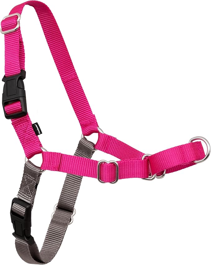 PetSafe Easy Walk Harness, No Pull Dog Harness, Raspberry, Small | Patented Martingale Loop Gives Gradual Shoulder Pressure to Stop Pulling, Front-Chest Leash Clip Prevents Gagging