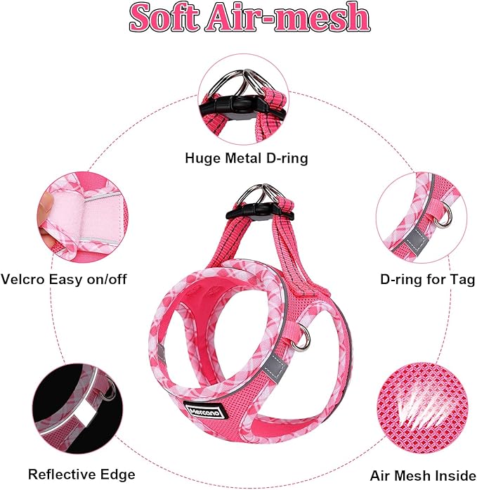 Mercano Soft Mesh Dog Harness and Leash Set, No-Chock Step-in Reflective Breathable Lightweight Easy Walk Vest Harnesses with Safety Buckle for Small Dogs, Cats (XXS, Fuchsia)