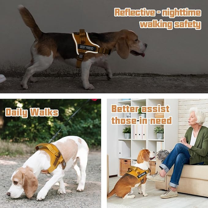 AUROTH Dog Harness and Leash Set for Large Sized Dog, No Pull Dog Vest | with Leash Clips, LED light clip, Soft Padded No Choke, Escape Proof, Easy Walking and Training, Turmeric-, XL