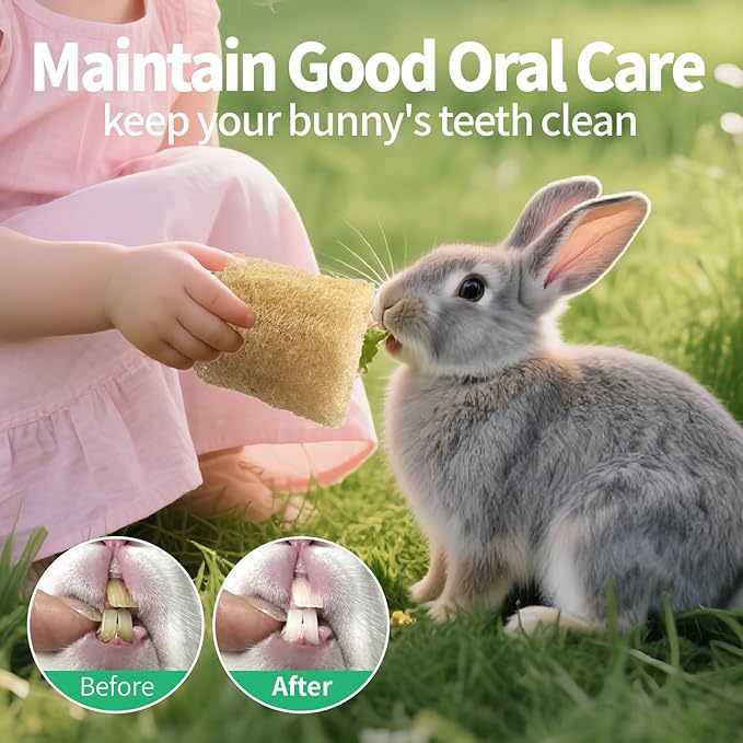 3 PCS Rabbit Chew Toys,100% Natural Loofah Without Additives,Bunny Chew Toys for Teeth,Fiber-Rich Rabbit Treats for Bunny Chinchilla Dogs