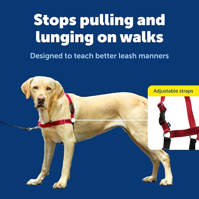PetSafe Easy Walk Harness for Dogs - Pull-Free Walks - Patented Martingale Loop Design - Front Chest Leash Attachment - Comfort Straps - Breathable Harness Design - Large, Red/Black | Patented Martingale Loop Gives Gradual Shoulder Pressure to Stop Pul...