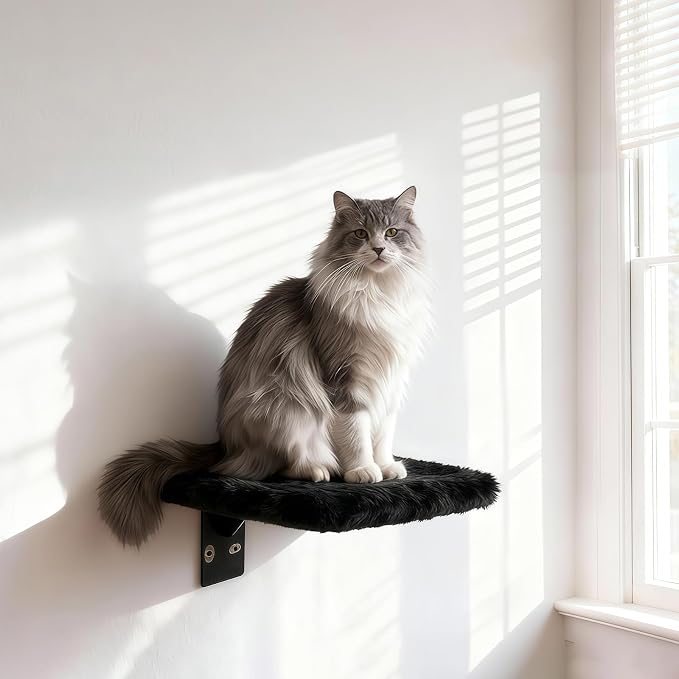 Wooden Cat Wall Shelves and Perches, 5 Piece Wall Mounted Cat Furniture System with Soft Washable Pads, Modern & Space-Saving Design for Climbing and Play