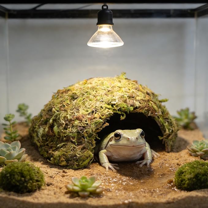 Natural Moss Frogs Hideout - Green Mossy Cave for Reptile, Geckos, and Hermit Crabs - Humid Habitat Decor for Amphibians and Small Reptiles - Eco-Friendly Terrarium Shelter