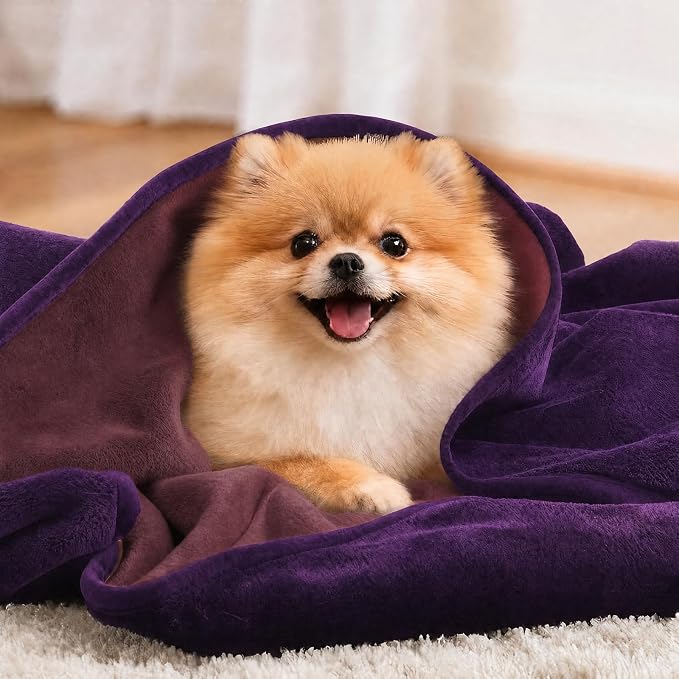 LOOBANI Waterproof Dog Blanket for Small Dogs, Pet Blanket 30" x 40" Purple | Double Side Liquid-Proof, Puppy Blanket for Dog Cat Bed, Crate, Playpen, Reversible Soft Flannel Couch Cover Throw