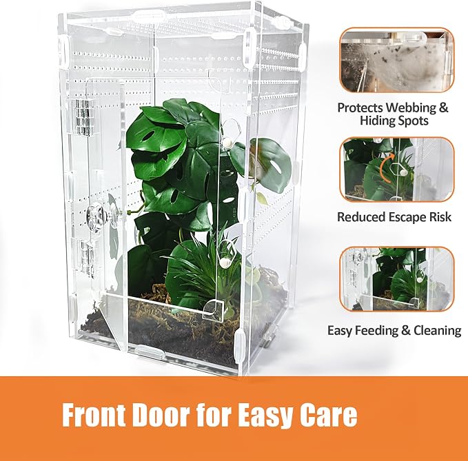 Acrylic Jumping Spider Enclosure Large 6”x6”x10” with Front Door, Arboreal Tarantula Enclosure, Praying Mantis Habitat for Spider, Mantis, Snail, Tarantula, Isopods, Beetles, Millipedes