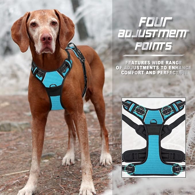 BARKBAY Dog Harness No Pull for Small Sized Dog Front Back Clips,Dog Vest | Soft Padded No Choke With Handle,Easy On&Off,Adjustable Reflective For Walking Training Running(Blue,S)