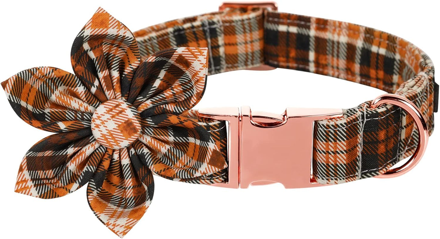 Lionet Paws Dog Collar with Flower - Cute Cotton Adjustable Flower Dog Collar with Metal Buckle for Large Dog Girl Gift, XL, Neck 16-26in