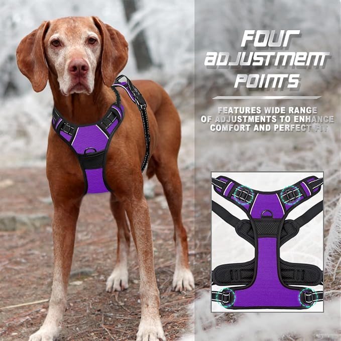 BARKBAY Dog Harness No Pull for Large Dogs Front Back Clips,Dog Vest | Soft Padded No Choke With Handle,Easy On&Off,Adjustable Reflective For Walking Training Running(Purple,L)