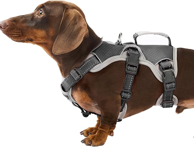 Escape Proof Dog Harness, Dachshund Harness, Reflective Dog Harness with Handle, Durable,Adjustable Vest for Small Medium Large Dogs Walking, Training, and Running Gear (Black,S)