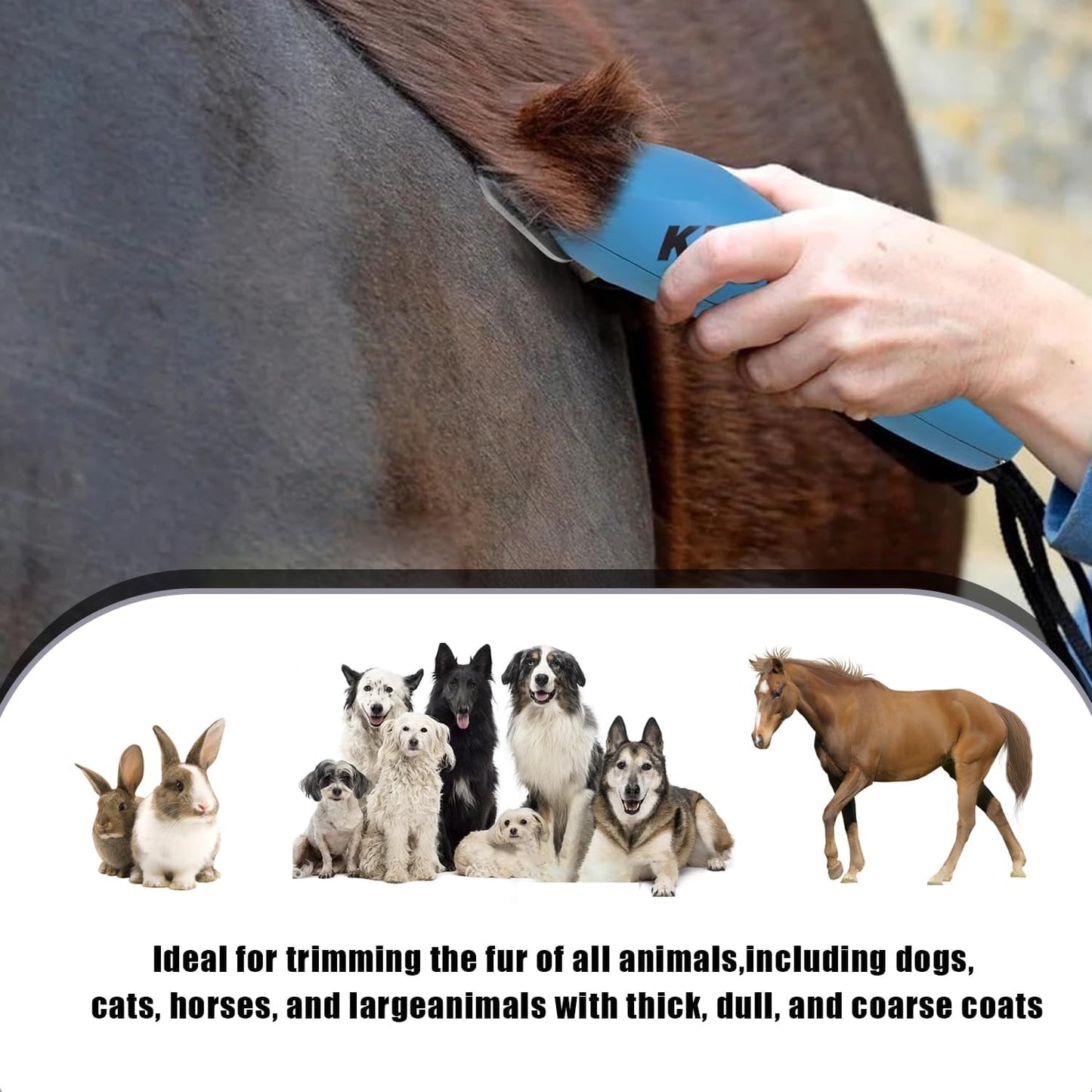Wide Blade 4FW, Pet Dog Grooming Blade Compatible with Andis,Oster A5,Wahl km10 Clippers, Grooming Wide Blade, A5 Type Blade,for Animal Dog,Cat,Horse (30W+7FW+5FW+4FW)
