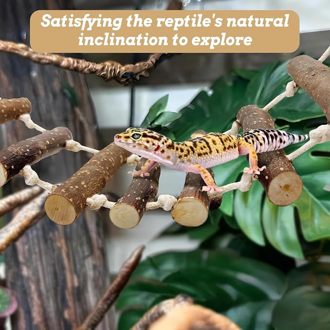 VCEPJH 2pcs Reptile Bridge Leopard Gecko Climbing Ladder Wooden Basking Lounger Reptile Tank Accessories for Hermit Crab Juvenile Bearded Dragon Chameleon Small Lizard (Fruit Wood)