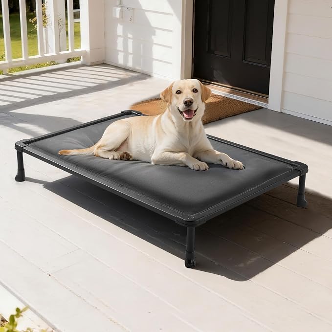 Veehoo Chew Proof Elevated Dog Bed, Padded Indestructible Raised Dog Cot | Orthopedic Dog Platform Bed with Soft Padded Mat, Durable Waterproof Pet Cot for Indoor, Outdoor or Crate, 41-Inch, Grey