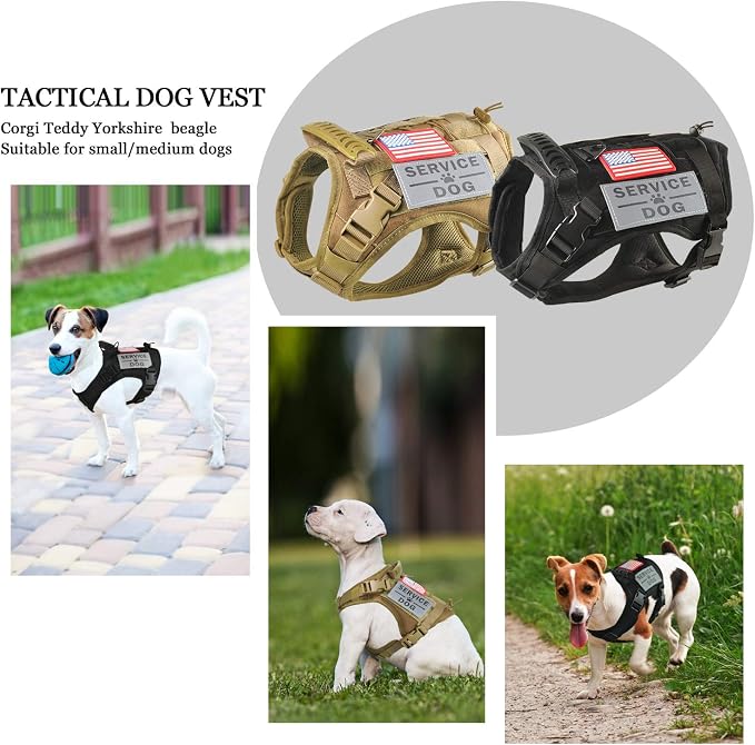 Tactical Service Dog Harness Vest,K9 Adjustable Work Water-Resistant Military Comfortable Molle Handle with Extenrder Strap (S, Black)