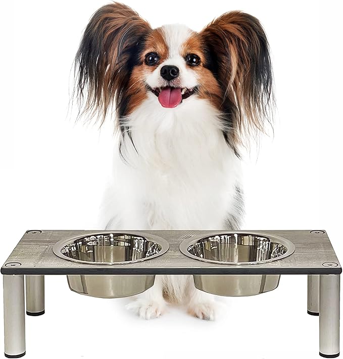 Raised Pet Bowls for Cats and Dogs, Outdoor Elevated Dog Cat Food and Water Bowls Stand Feeder on Aluminum Legs with 2 Stainless Steel Bowls Sizes for Small Medium and Large Dogs. - Small (Monte)