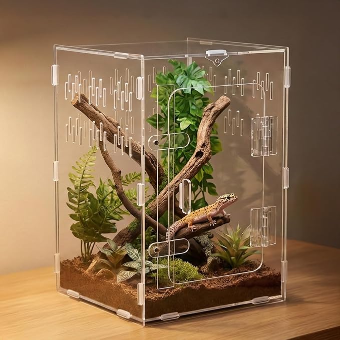Tarantula Enclosure 8x8x12 Acrylic Terrarium: Arboreal Frog Habitat | Front Opening All-Side Ventilation Lockable Jumping Spider Enclosure for Crested Gecko Hermit Crab, Gift for Reptile Hobbyist