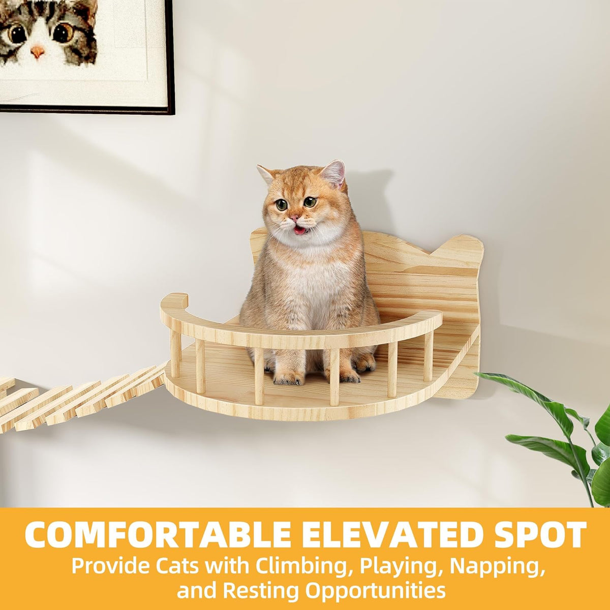 Cat Wall Shelves, Cat Wall Furniture Pine Wooden Feline Shelf, 16 Piece Feline Shelves and Perches with Condos, House, Steps, Bridge Ladder, Scratching Post and Tunnel
