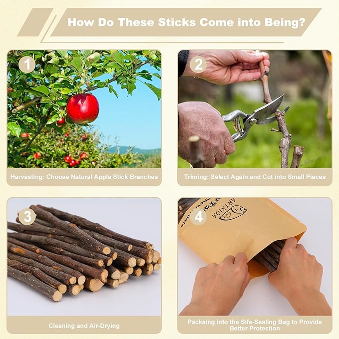 500g Organic Apple Sticks Small Animals Molar Wood Treats Chew Toys for Chinchillas Rabbits Guinea Pig Hamster Gerbil Parrot Bunny Chews Stick Toys