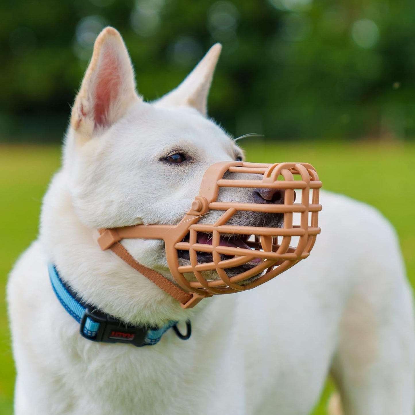 Baskerville Classic Basket Muzzle - Prevents Biting and Food Waste Scavenging, Ideal for Longer Nosed Dogs, Size 3, Length without mesh: 4.5 cm, length with mesh: 3.5 cm, circumference: 20 cm