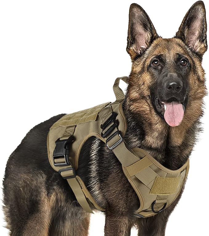 rabbitgoo Tactical Dog Harness for Large, Heavy Duty Military No Pull Vest | Sturdy Metal Buckles, 5 Adjustments, Molle System, Powerful Pullers for Training, Hunting, Outdoor, Brown, Large