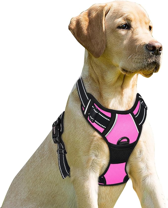 BARKBAY Dog Harness No Pull for Small Sized Dog Front Back Clips,Dog Vest | Soft Padded No Choke With Handle,Easy On&Off,Adjustable Reflective For Walking Training Running(Pink,XS)