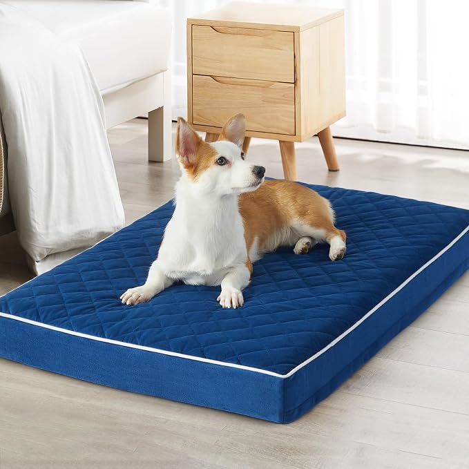 WNPETHOME Orthopedic Waterproof Large Sized Senior Dogs Bed for Comfy Sleep | Washable Ped Bed with Removable Cover, Multi-Needle Quilting Large Dogs Crate Bed for Dog Relax, Blue 36x27 Inch