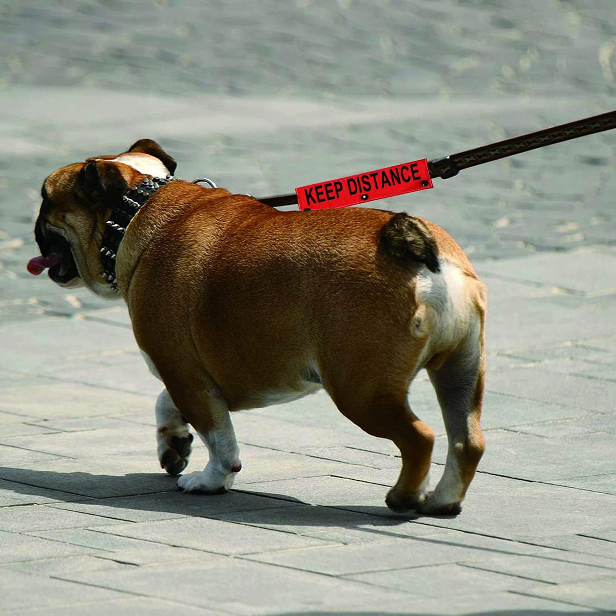 Funny Dog Leash Sleeve Keep Distance Dog Leash Wrap Sleeve Pet Birthday Gift (Keep Distance-Sleeve)