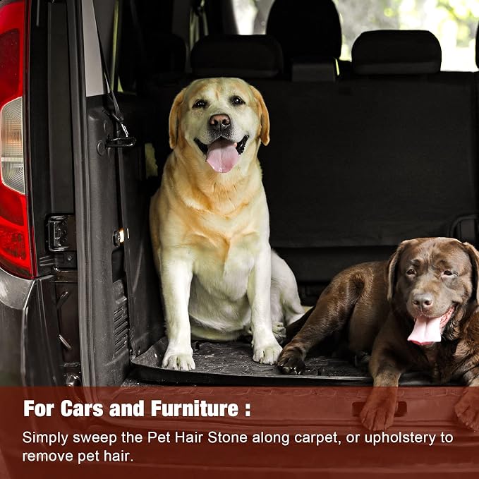 2 Pieces Pet Hair Remover for Cat Hair Removal Pumice Stone Tool Carpet Dog Fur Removal Tool for Car Couch Furniture Bedding Easy to Clean (5.3 Inches)