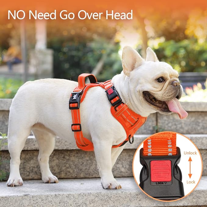 PoyPet No Pull Dog Harness, Reflective Vest with 2 Leash Clips & Handle | Lockable Neck Release Buckle, No Choke, Adjustable, Soft Padded, for Walking Training, Orange Matching Trim, Small