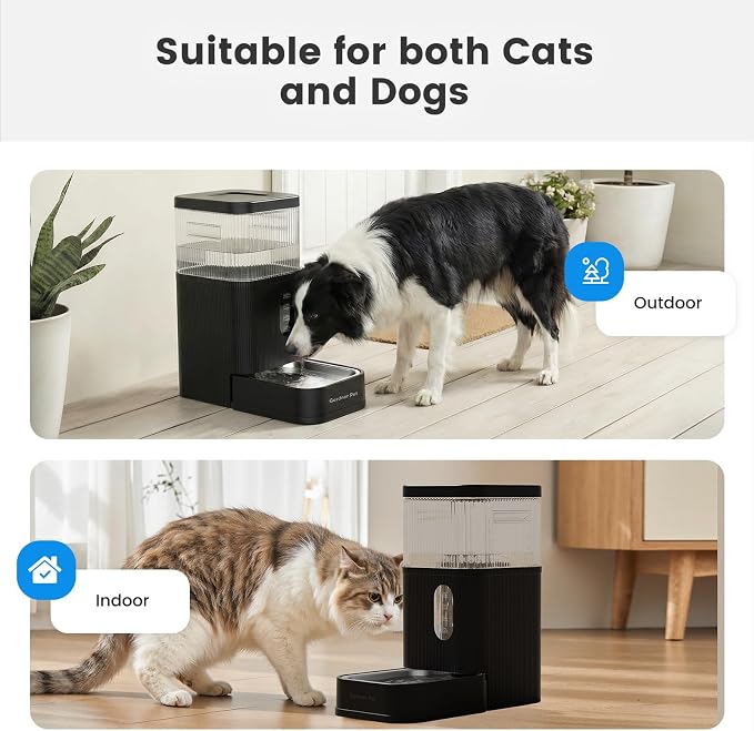 2.9 Gallon Automatic Dog Water Dispenser with Stainless Steel Bowl | BPA-Free, 11L Large Capacity, Stainless Steel Bowl, Maifan Stone Filter, Gravity Auto-Fill, Safe for Cats & Dogs