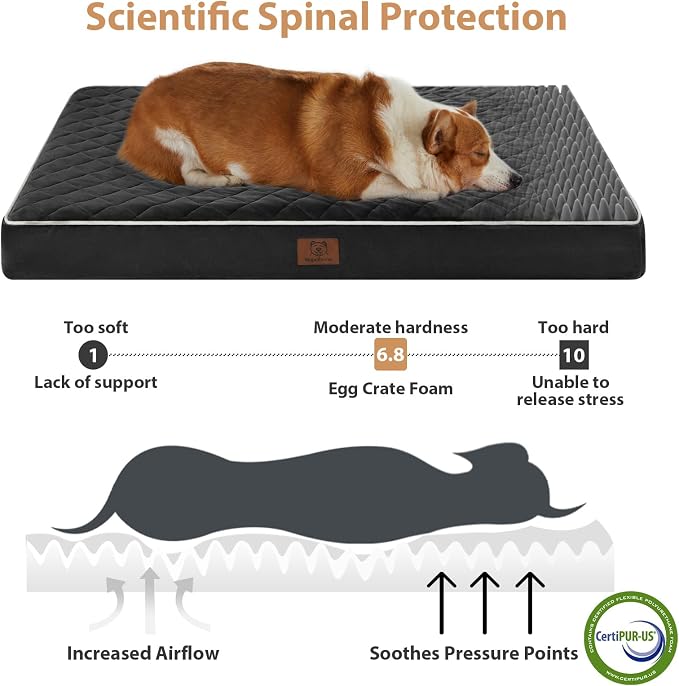 WNPETHOME Orthopedic Waterproof Dog Bed Medium for Comfy Sleeping | Washable Medium Pet Bed with Removable Cover, Multi-Needle Quilting Dogs Crate Bed Black 30x20 Inch