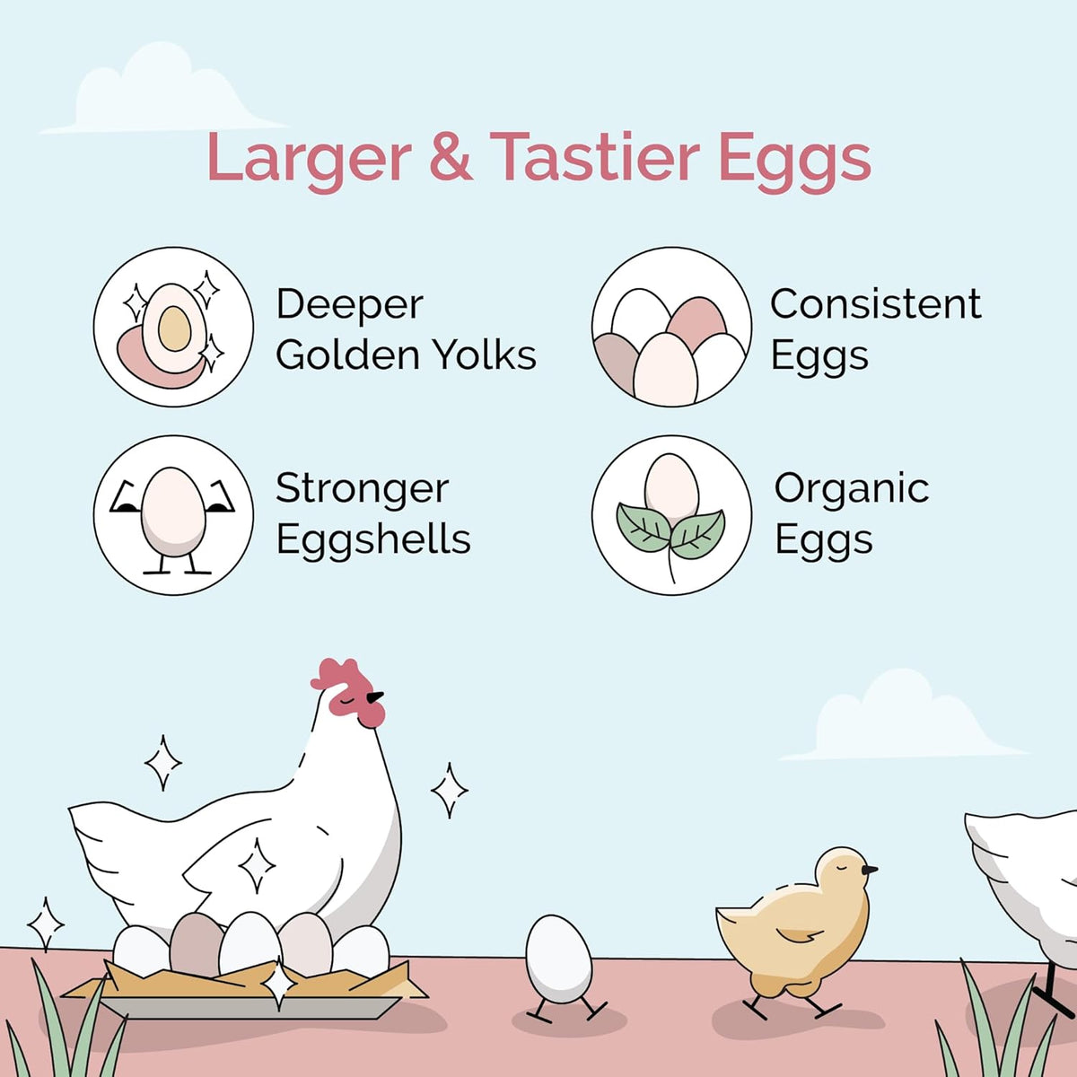 Organic Chicken Feed – Layer Mash, Non-GMO, USA Grown, 16% Protein, Corn-Free, Soy-Free, Non-Medicated Feed for Chickens, 23 lbs