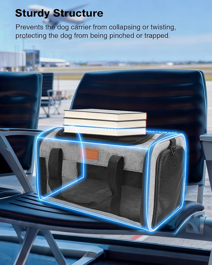 Pet Carrier Airline Approved for Pets Up to 10 Lb, 17x11x9.5 in | Underseat, Top & Side Entry Soft Dog Cat Travel Carrier with Safety Zippers & Anti-Scratch Mesh for Small Cat and Dog, Grey