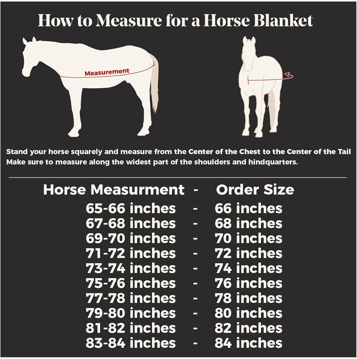 Schneiders Soft Interlock Mesh II Zebra Horse Fly Sheets | Striking Zebra Pattern for Fly Deterrence & Superior UV Protection