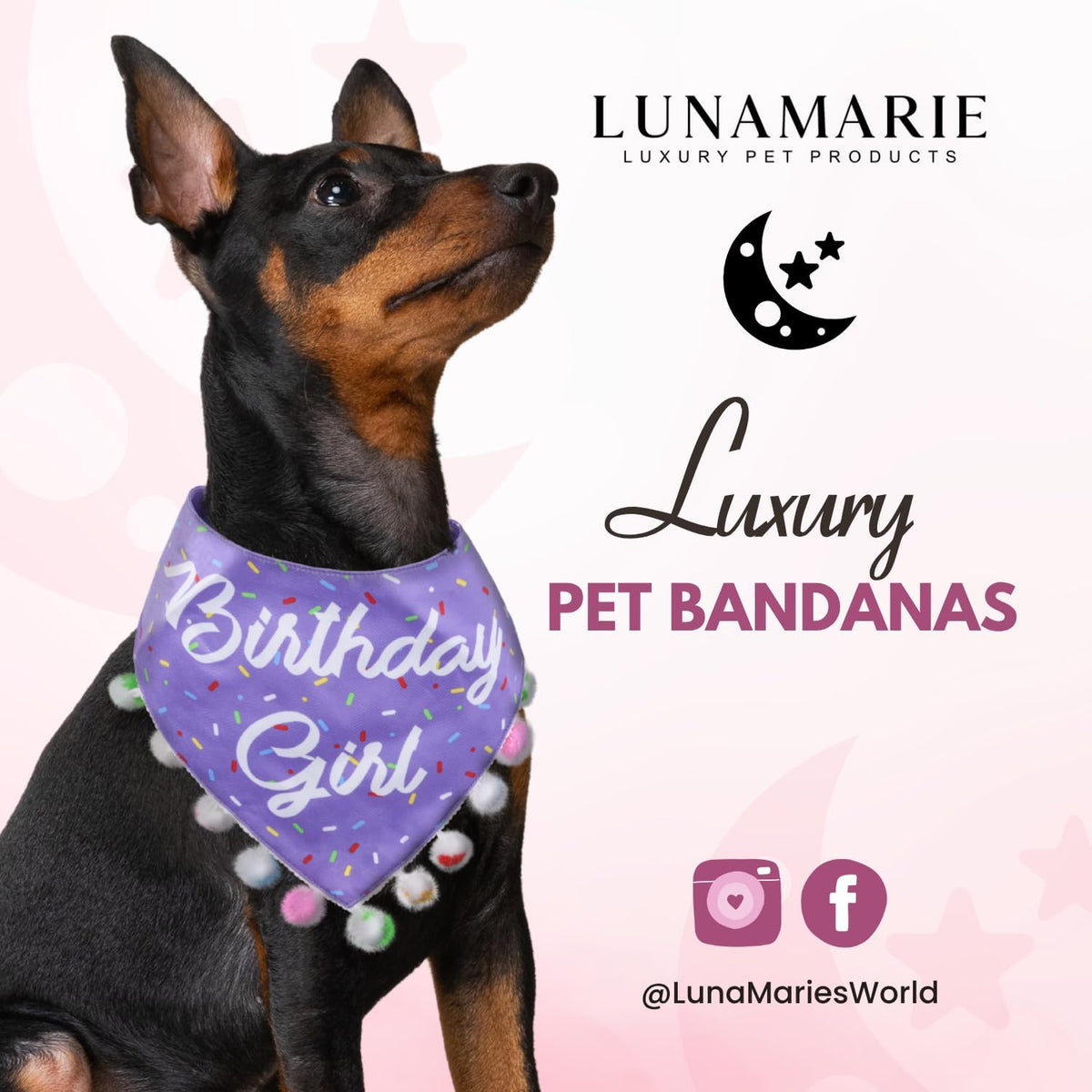 LunaMarie - Luxury Pet Birthday Bandanas -Premium & Silky Poly Fabric | 100% Handmade | Custom Shape Dual Layered (Birthday Girl Purple, X-Small)