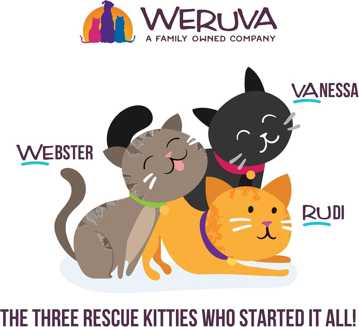 Weruva B.F.F. Play - Best Feline Friend Paté Lovers, Aw Yeah!, Tuna & Duck Double Dare with Tuna & Duck, 5.5oz Can (Pack of 8)