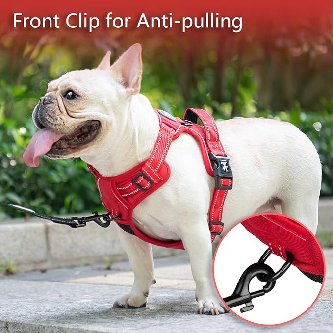 PoyPet No Pull Dog Harness, Reflective Vest with 2 Leash Clips & Handle | Lockable Neck Release Buckle, No Choke, Adjustable, Soft Padded, for Walking Training, Red Matching Trim, Small