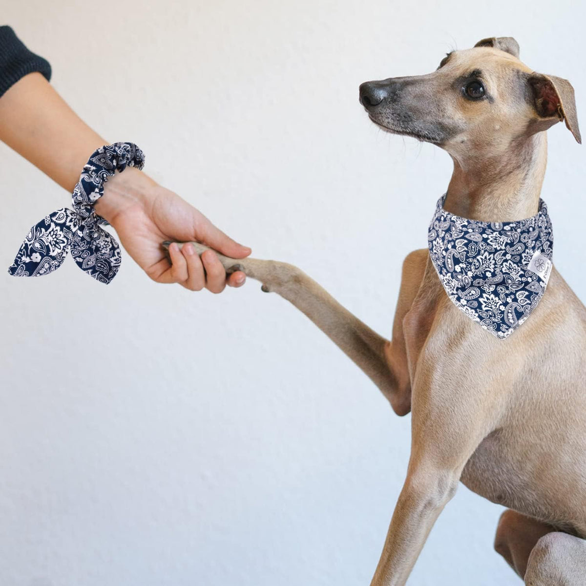 E-Clover Dog Bandanas Boy & Matching Scrunchie Set Dog Bandana Scarf Bibs with Bow Scrunchies for Medium Large Dogs Pet Owner Mom Boho