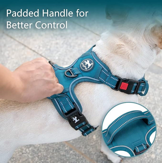 PoyPet No Pull Dog Harness, Reflective Vest with 2 Leash Clips & Handle | Lockable Neck Release Buckle, No Choke, Adjustable, Soft Padded, for Walking Training, Tumalo Teal, X-Small