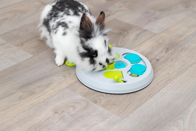 TRIXIE Hide N Slide Rabbit Activity - Small Animal Interactive Toy for Mental Stimulation, Enrichment, Hide and Seek, Brain Teaser, Enhances Cognitive Development