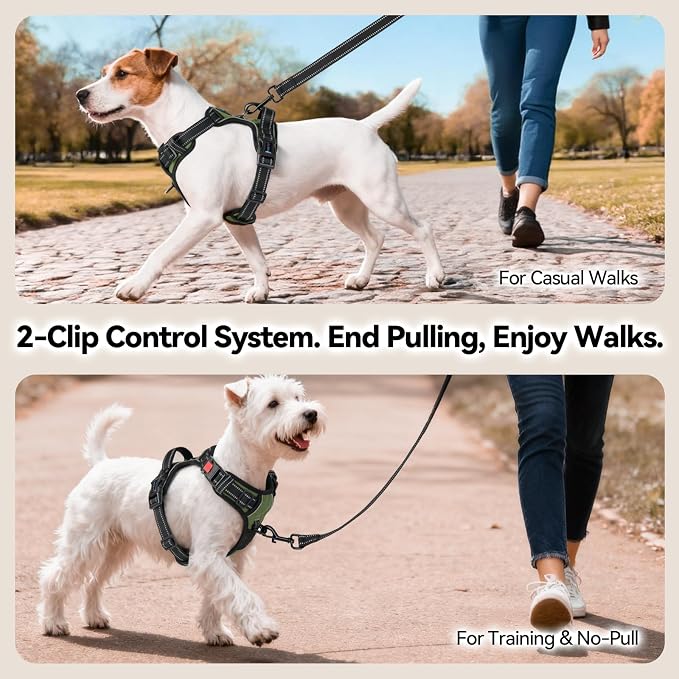 No Pull Dog Harness with Handle Front & Back Clip, Easy on | Lockable Snap Buckle at Neck, Adjustable Reflective Vest with Handle for Small Medium Large Dogs (S, Misty Green)