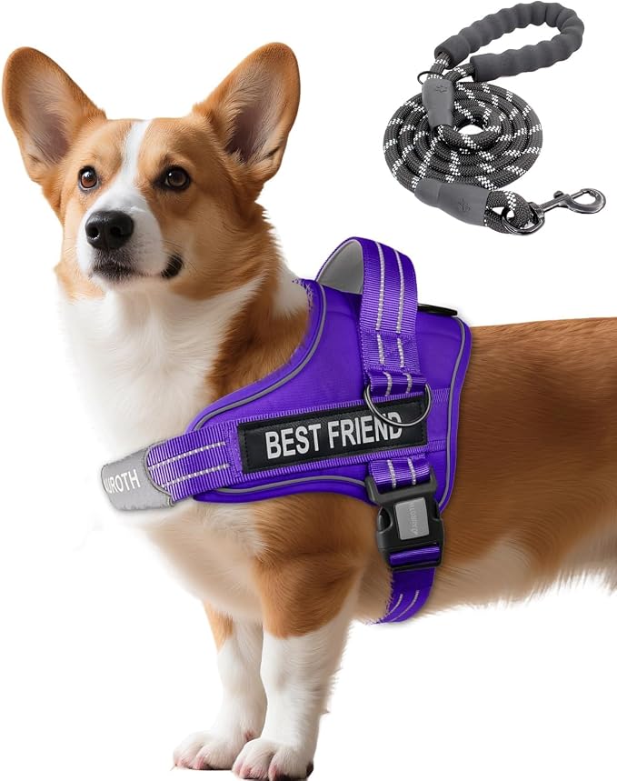 AUROTH Dog Harness and Leash Set Small Sized Dog, No Pull Escape Proof Vest | with Leash Clips, LED light clip, Breathable Mesh Padded No Choke, Easy Walking and Training, Purple, Small