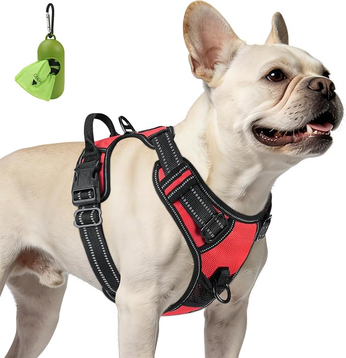 Joytale No Pull Dog Harness for Small Dogs, Front Clip, Red | Grab Handle for Instant Control, Padded & Adjustable Vest, Sturdy Metal D-Rings, for Safe Training & Daily Walking