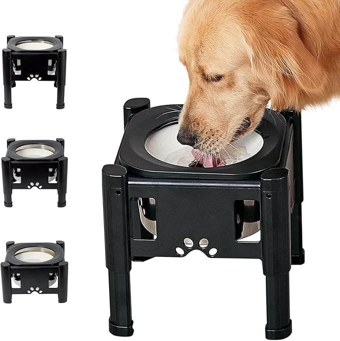 Elevated Dog Bowls, 80Oz Stainless Steel Water Feeder | 3 Adjustable Heights (6.1", 7.7", 9.3"), Anti-Spill Design for Small to Medium Sized Dogs
