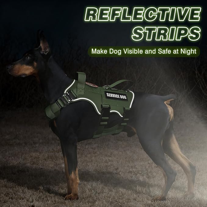 Service Dog in Training Vest and Leash Set+10 Patches,Escape Proof | Heavy Duty Tactical Dog Harness with Metal Buckles for Medium Sized Dogs,No Pull Front Back Clips,for Training Hiking,Green M