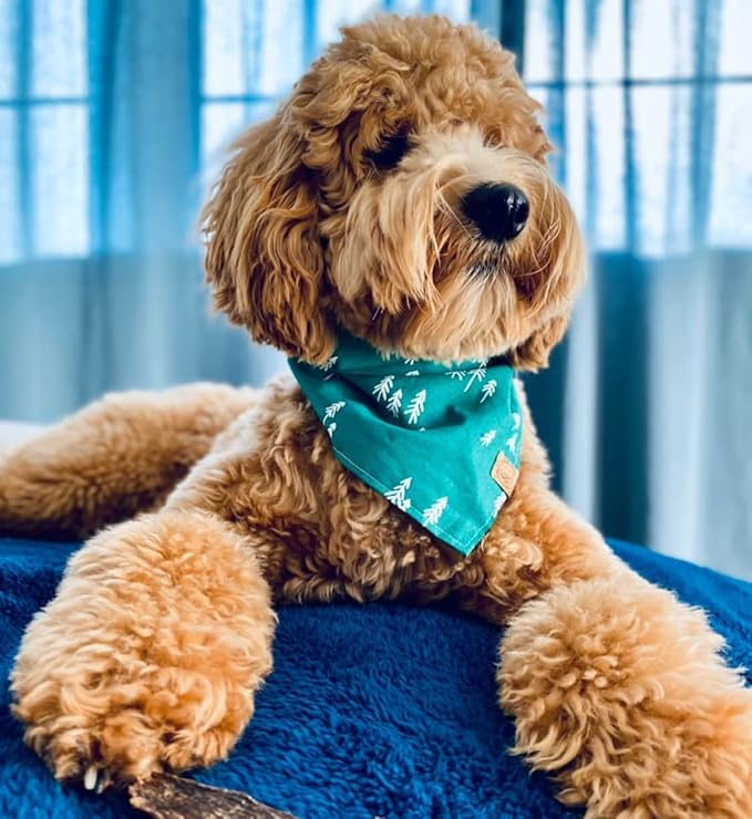 rocket & rex Large Waterproof Dog Blankets | Washable Premium Pet Blanket for Couches and Furniture | Medium - Large Breeds | Reversible Faux Suede, Soft Fleece, Waterproof Interior Layer