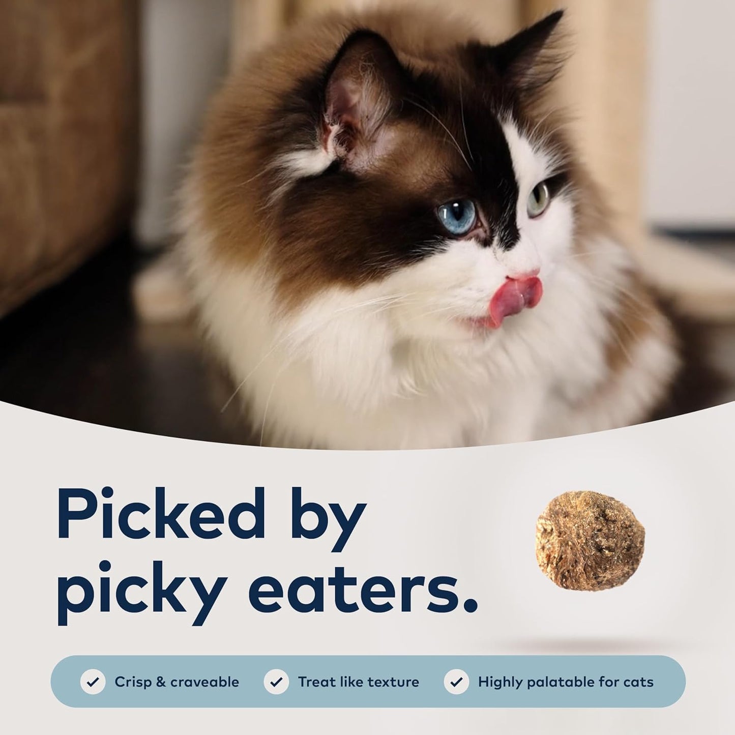 ZIWI Peak Steam & Dried Cat Food – Cage-Free Chicken w/Whole Mackerel - High Protein, Skin & Coat Health, Low Carb, for All Life Stages (28.8oz)