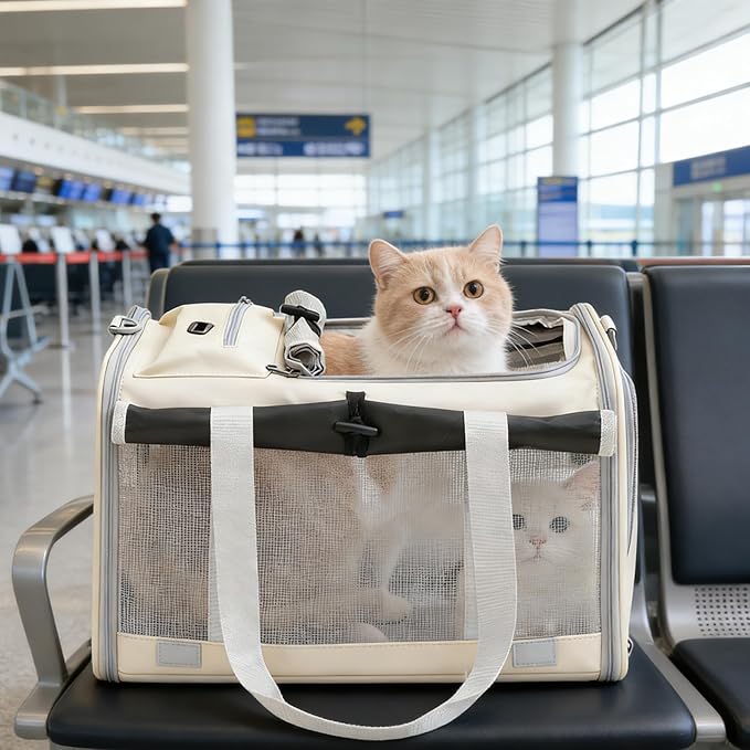 Pet Carrier Bag for Cats & Small Dogs, Airline Approved Travel Cat Carrier with Mesh Windows, Shoulder Strap & Removable Mat, Foldable Design for Home & Outdoor Trips